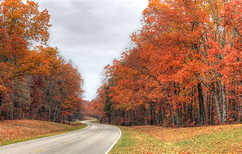 Fall Foliage On The Natchez Trace Parkway
