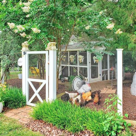 Maybe you would like to learn more about one of these? Ketahui 8 Hal Ini Sebelum Anda Beternak Ayam Kalkun