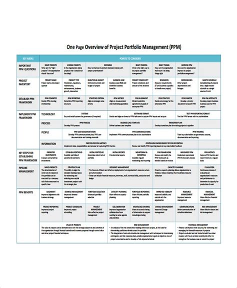 Project Overview Template 8 Free Word Document Downloads