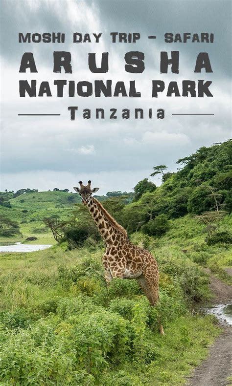 Arusha National Park 1 Day Safari Tanzania Mawenzi Adventures