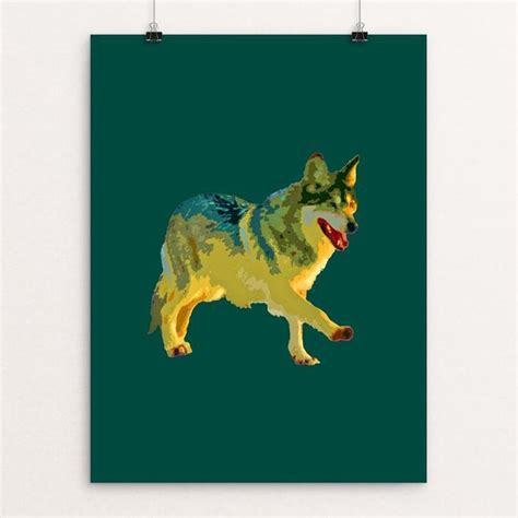 Mexican Gray Wolf By Anthony Chiffolo Creative Action Network