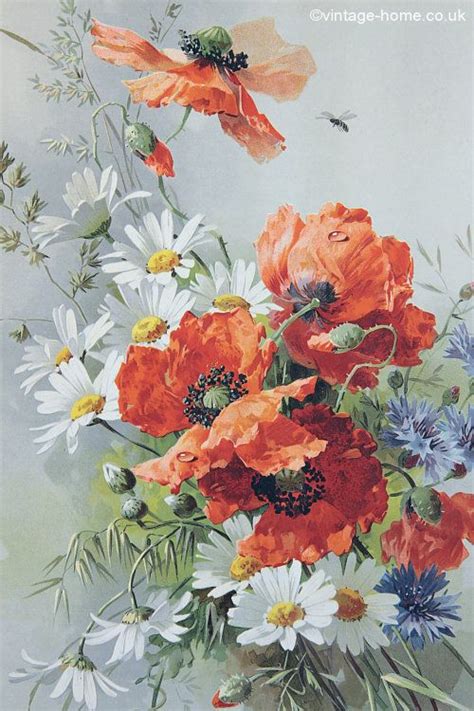 Vintage Home Victorian Poppies And Daisies Print Vintage