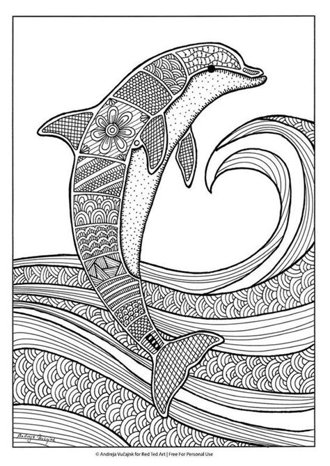 pin  coloring dolphin whale shark