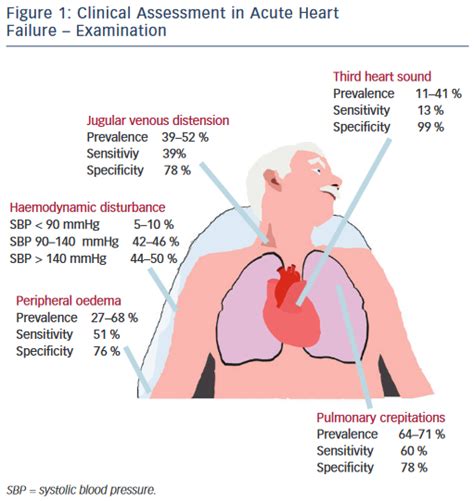 How To Improve Time To Diagnosis In Acute Heart Failure Clinical