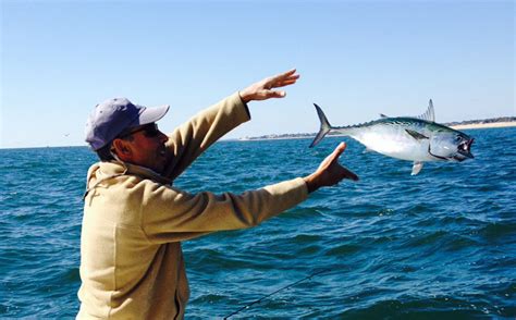 When a driver hits the spin zone target on another car, it sends that car into an uncontrolled spin! Rhode Island Fishing Report | October 23, 2014 - On The Water