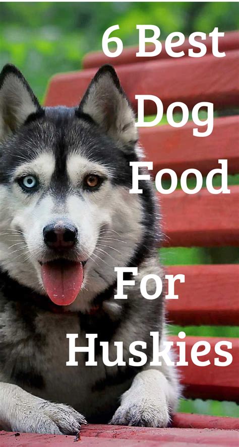 Best dog food for husky puppies. 6 Best Dog Food For Huskies Puppy & Adult : 2020 REVIEWS ...