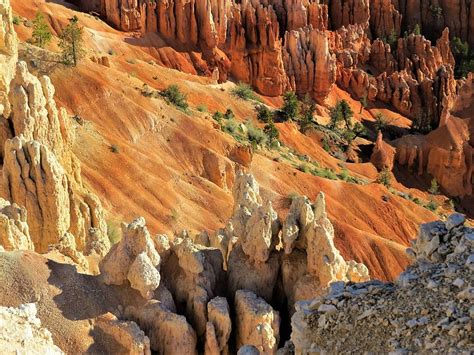 Bryce Canyon Sandstone Hiking Red Sandstone Utah Nature Rock