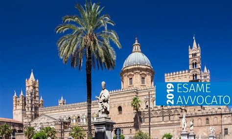 Trascorsa la settimana per presentare eventuali nuovi elementi oggettivi, utili a migliorare il titolo di ammissione all'esame (sono arrivate una dozzina di richieste ulteriori, a cui si è. Esame avvocato a Palermo: sono 494 gli ammessi all'orale ...