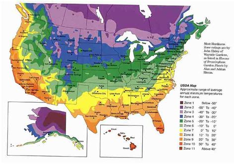 How To Grow A Perennial Garden New Gardener Tip Junkie