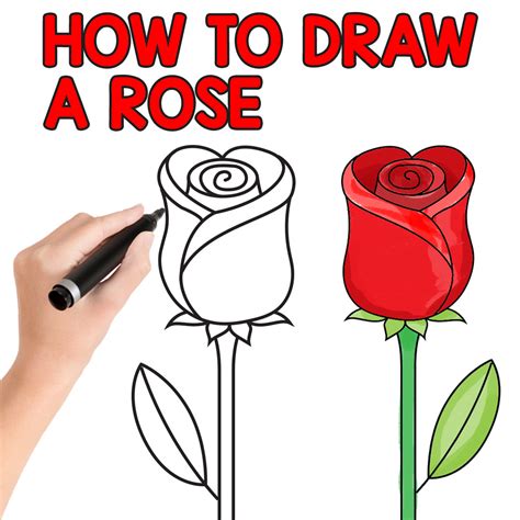 Learn to draw a pretty tulip. How to Draw a Rose - Easy Step by Step For Beginners and ...