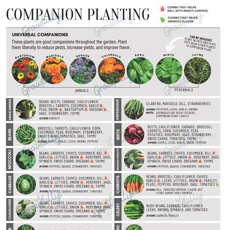 Companion Planting Chart—garden Journal Pages Growfully