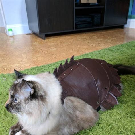 Custom Battle Cat Armor Cat Costume Cosplay Etsy