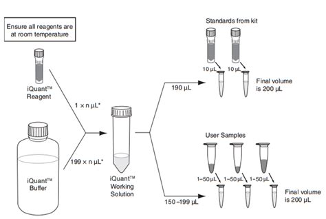 IQuant DsDNA HS Assay Kit ABP Biosciences