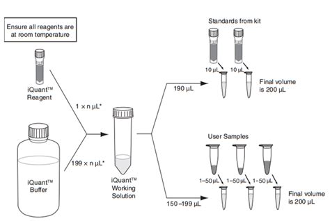 Iquant Dsdna Br Assay Kit Abp Biosciences