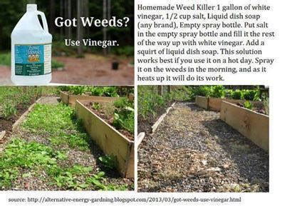 Our lawn care specialists are experts in the weeds native to your region and the weed removal treatments that work best to keep them away for good. Now You Can Pin It!: Homemade Weed Killer