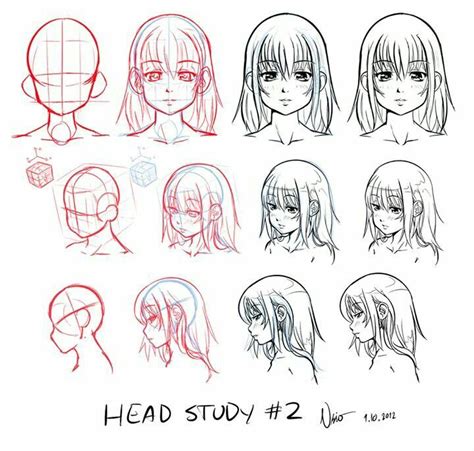 Head Study Draw Drawing Tutorial Manga Tutorial Anime Head