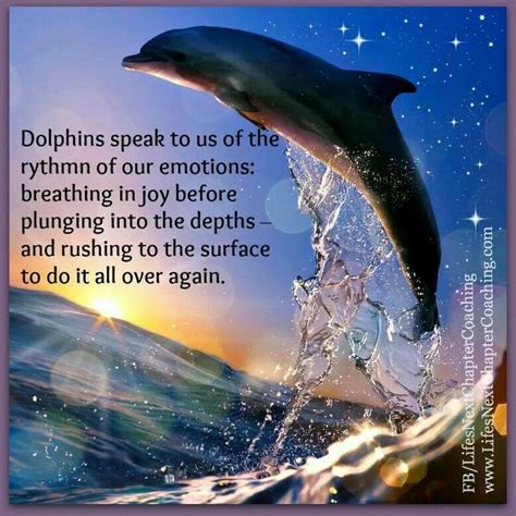 18 Best Dolphin Love Images On Pinterest Dolphins Common Dolphin And