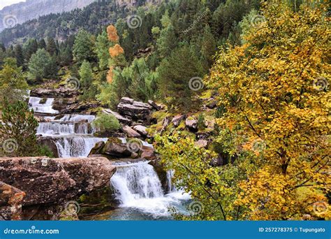 Waterfalls In Mountains Of Spain Stock Image Image Of River Tree