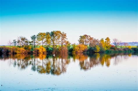 Fall River Reflected In The Water Autumn Trees Stock Image Image Of