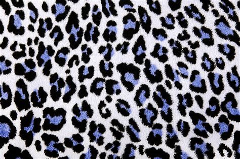 Blue Cheetah Print Stock Photos Pictures And Royalty Free Images Istock
