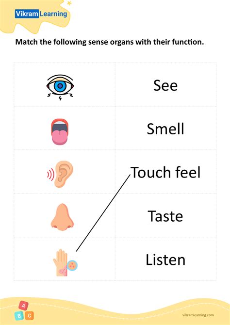 Download Match The Following Sense Organs With Their Function Pattern
