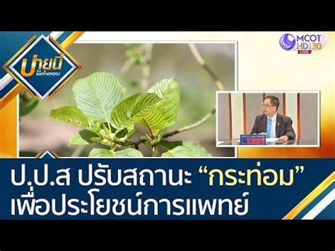 Check spelling or type a new query. ป.ป.ส ปรับสถานะ "กระท่อม"เพื่อประโยชน์ทางด้านการแพทย์ [17 ...