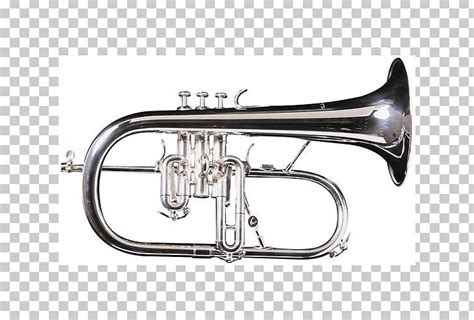 Cornet Flugelhorn Tenor Horn Trumpet Saxhorn Png Clipart Alto Horn