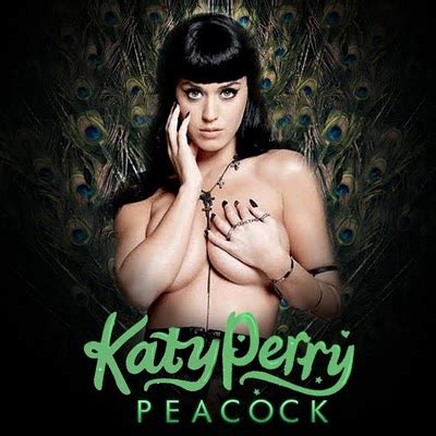 Katy Perry Dedicates A Song To Tim Tebow Lilit Marcus