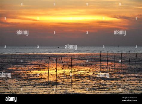 Evening Scene Of Wetland Seacoast Stock Photo Alamy