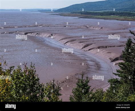 Daniels Flats With The Tide Out Hopewell Rocks Bay Of Fundy New