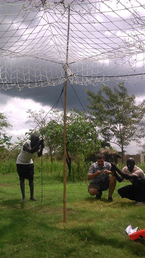 Trap Techniques To Aid African Research The Wildlife Society