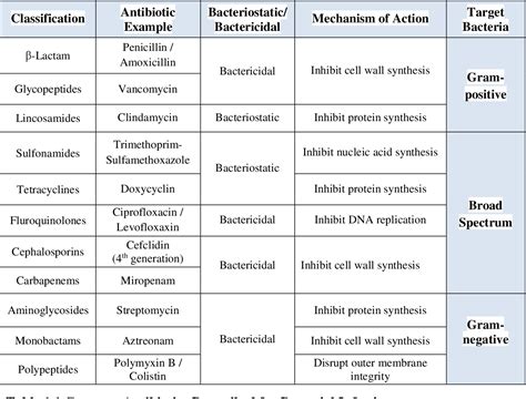 Which Antibiotic Works Best For Gram Positive Bacteria