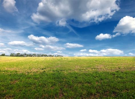 Free Images Landscape Horizon Cloud Sky Field Lawn Meadow