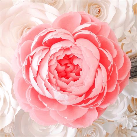 large-paper-flower-giant-crepe-paper-peony-giant-paper-flowers-crepe-paper-peony-paper