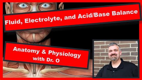 Fluid Electrolyte And Acidbase Balance Anatomy And Physiology Youtube