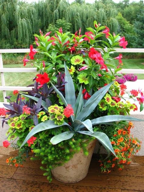 Wow Love All The Color In This Container Container Garden Design