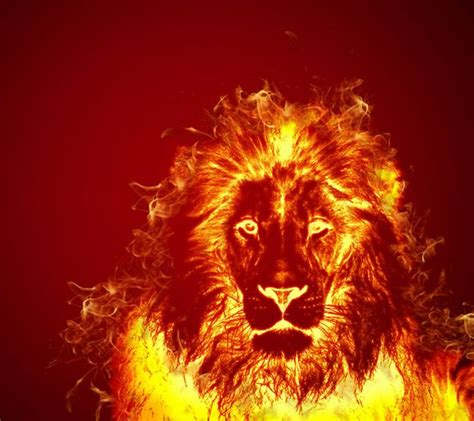 Fire Sign Leo The Lion Lion Live Wallpaper Lion Art Fire Lion