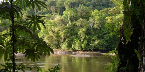 Guyane Française Amazonie Archives Voyages Cartes