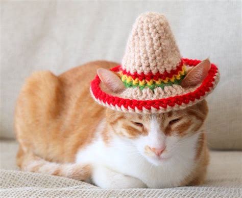 Cat Sombrero Crochet Pattern Crochet Instructions For Pet Size