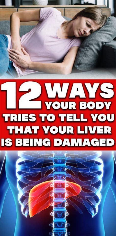 An organ is a collection of tissues joined in a structural unit to serve a common function. 12 Ways Your Body Tries To Tell You That Your Liver Is Being Damaged (With images) | Abdominal ...