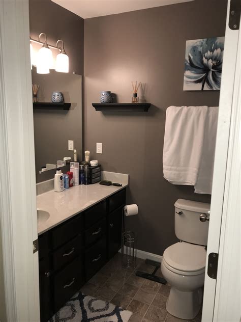 Your first step in decorating the canyon should be that the lighting of the room is ideal for. Sherwin Williams Mink in small master bathroom with no windows | Bathroom colors, Bathroom color ...