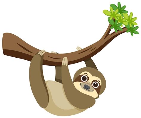 Sloth Clipart Cute Sloth Animal Leaning On A Tree Branch Clip Art