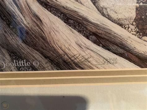 Bev Doolittle Limited Edition Print The Sentinel Framed Signed