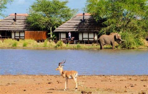 Best Safari Lodges In Kruger National Park Gems Of Africa