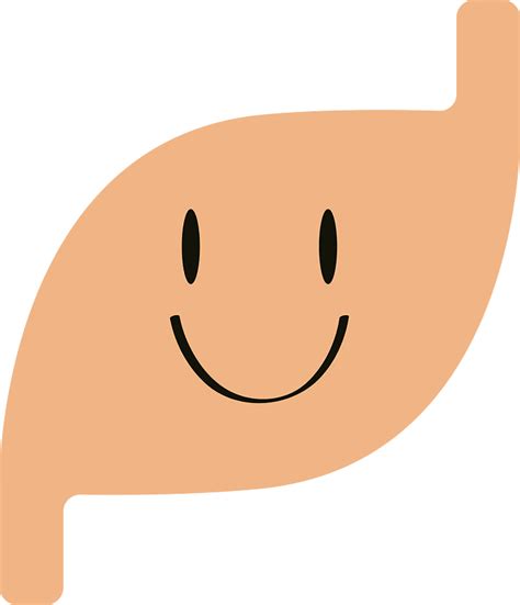 Stomach Organ Clipart Free Download Transparent Png Creazilla