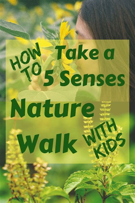 How To Take A 5 Senses Nature Walk With Kids Fruitful 14 To 41