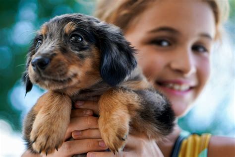 The Benefits Of Puppies For Kids — The Puppy Academy