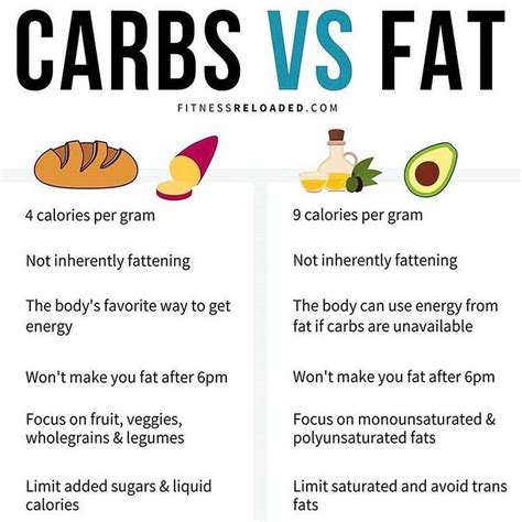 Differences And Similarities Between Fats And Carbohydrates Fats Have