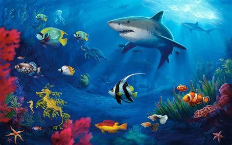 Hd Ocean Sea Life Wallpapers 47 Images