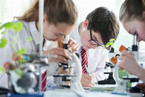High School Students Conducting Scientific Experiment At Microscopes In